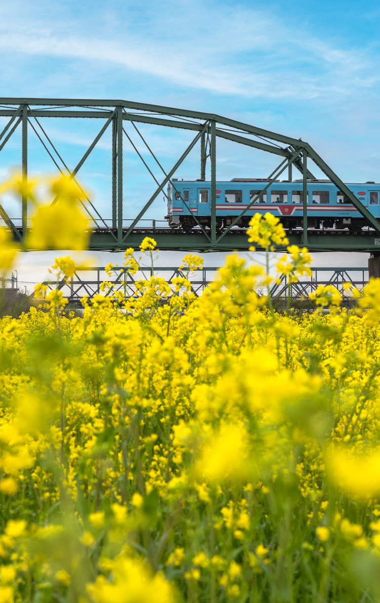 樽見鉄道 イメージ